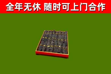 陕州区回收海参